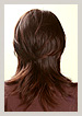 back