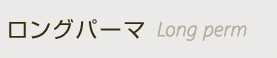 Op[}@Long perm